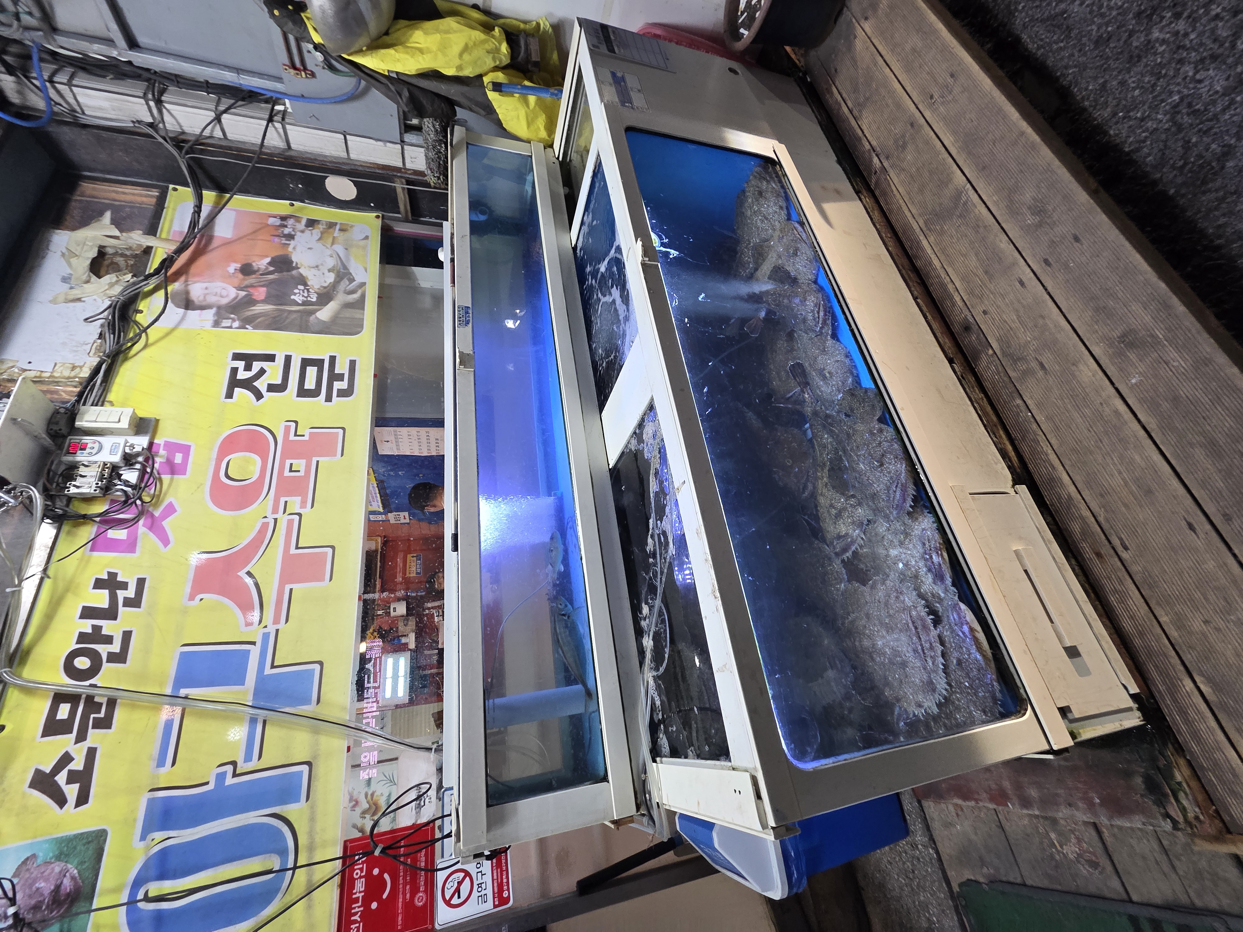 돈튀기는집 어떤 사람에게 맞는지 묶음 1
