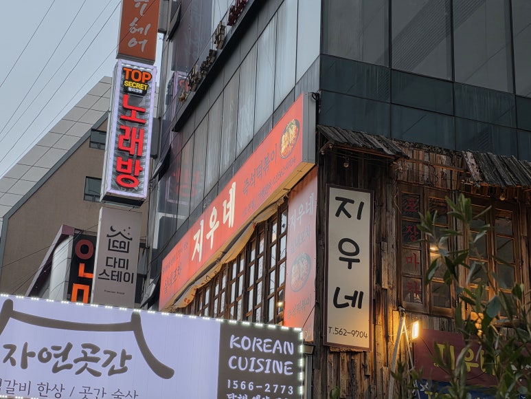 지우네 한줄 결론 사진
