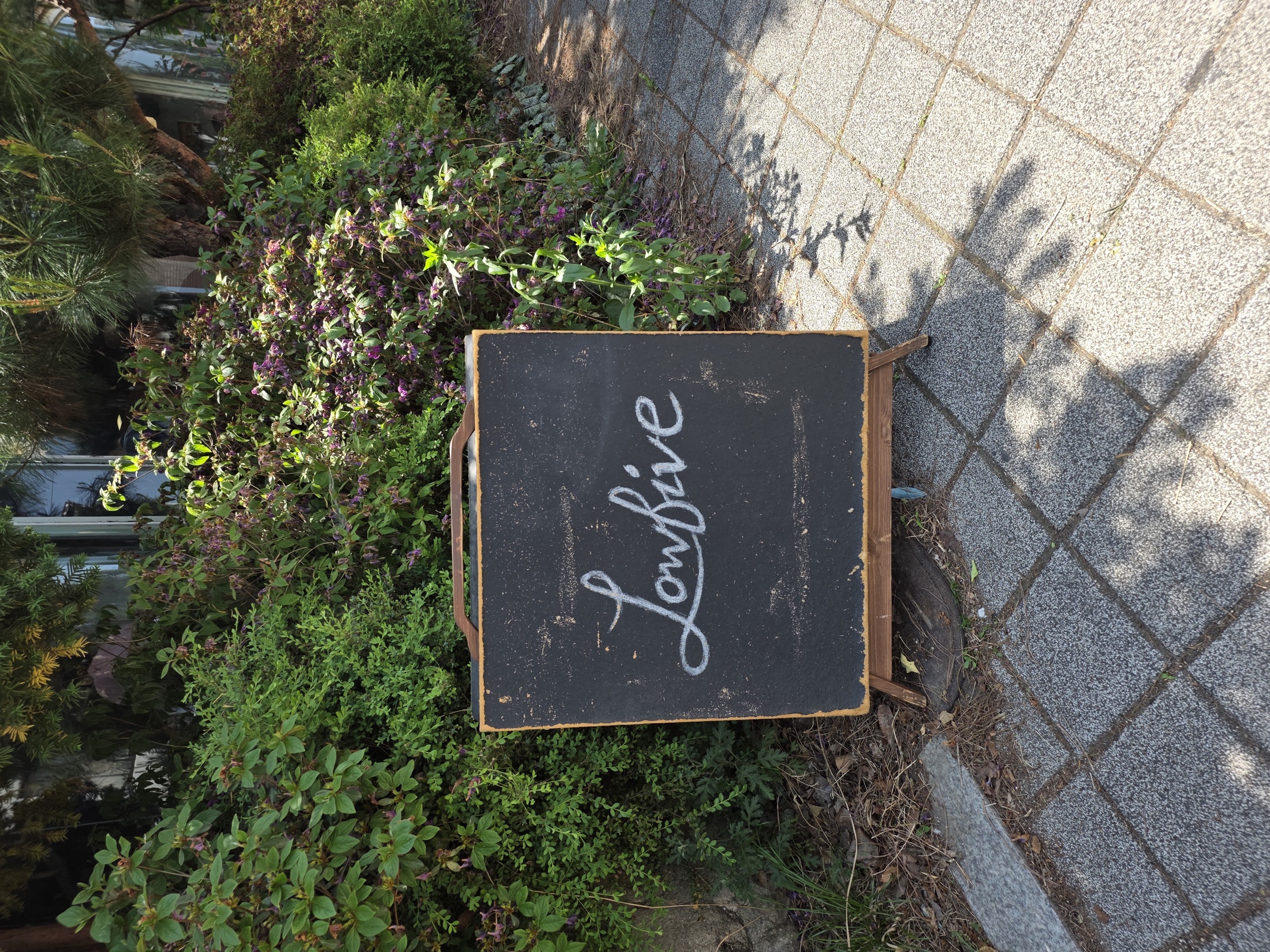 로우파이브 한줄 결론 묶음 2
