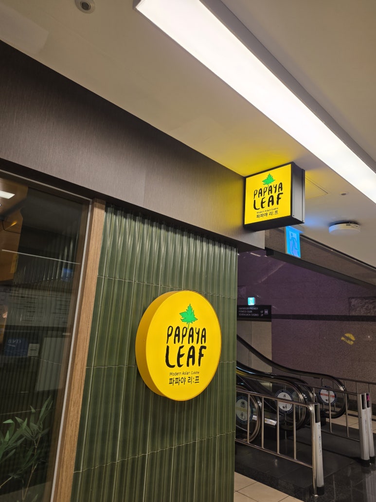 파파야리프 코엑스점 한줄 판단 묶음 1